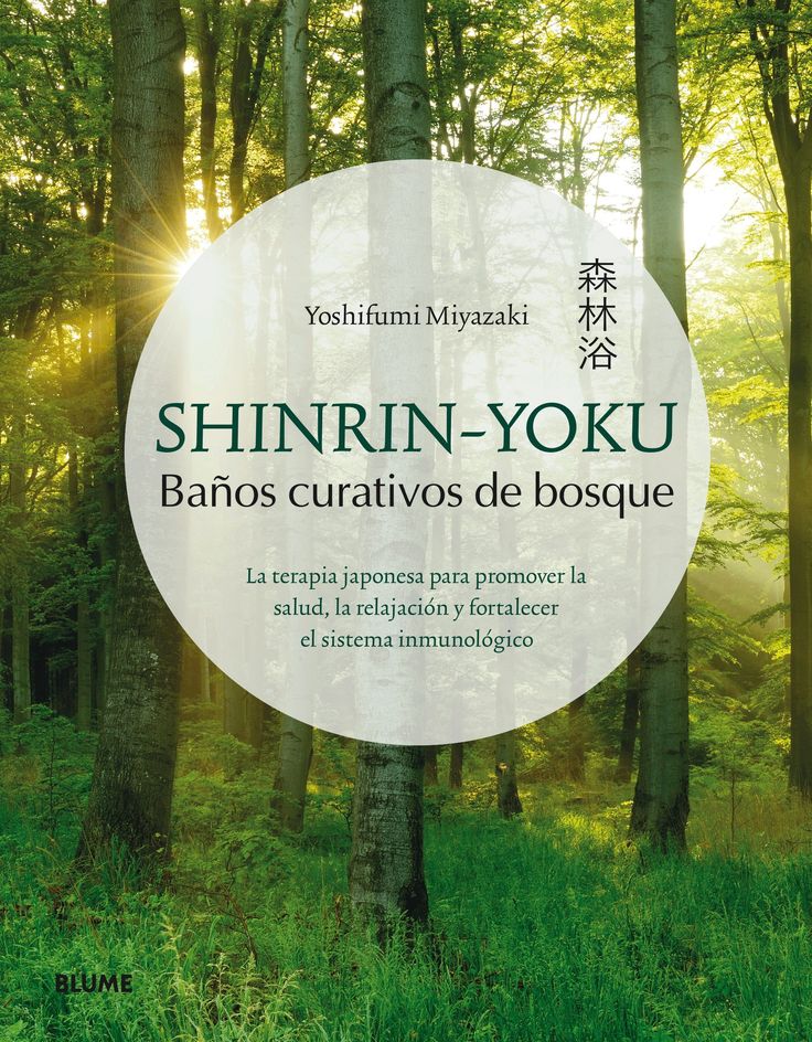 d4fc7af65e6a1b8f8297b7e02f817bf8-1 Shinrin-yoku: o banho de floresta japonês